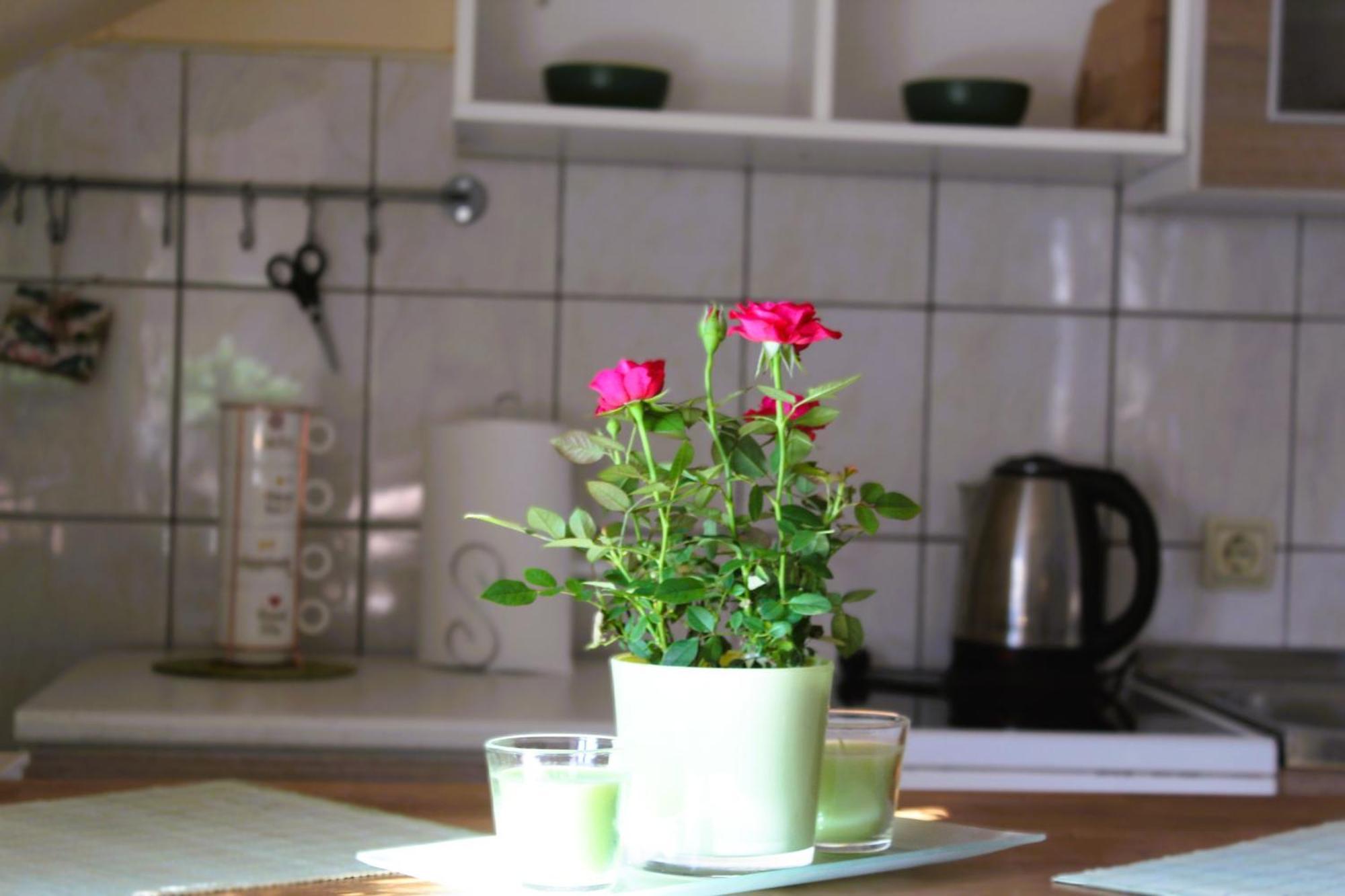 Svila Apartmani Bihać エクステリア 写真